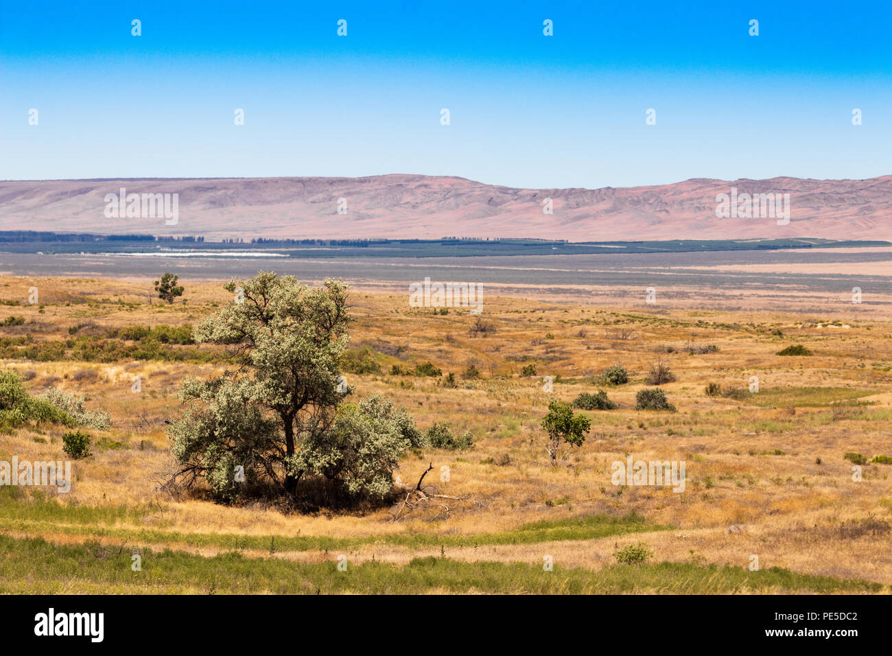 Eastern Washington Palouse vast expanse desert view with blue sky
