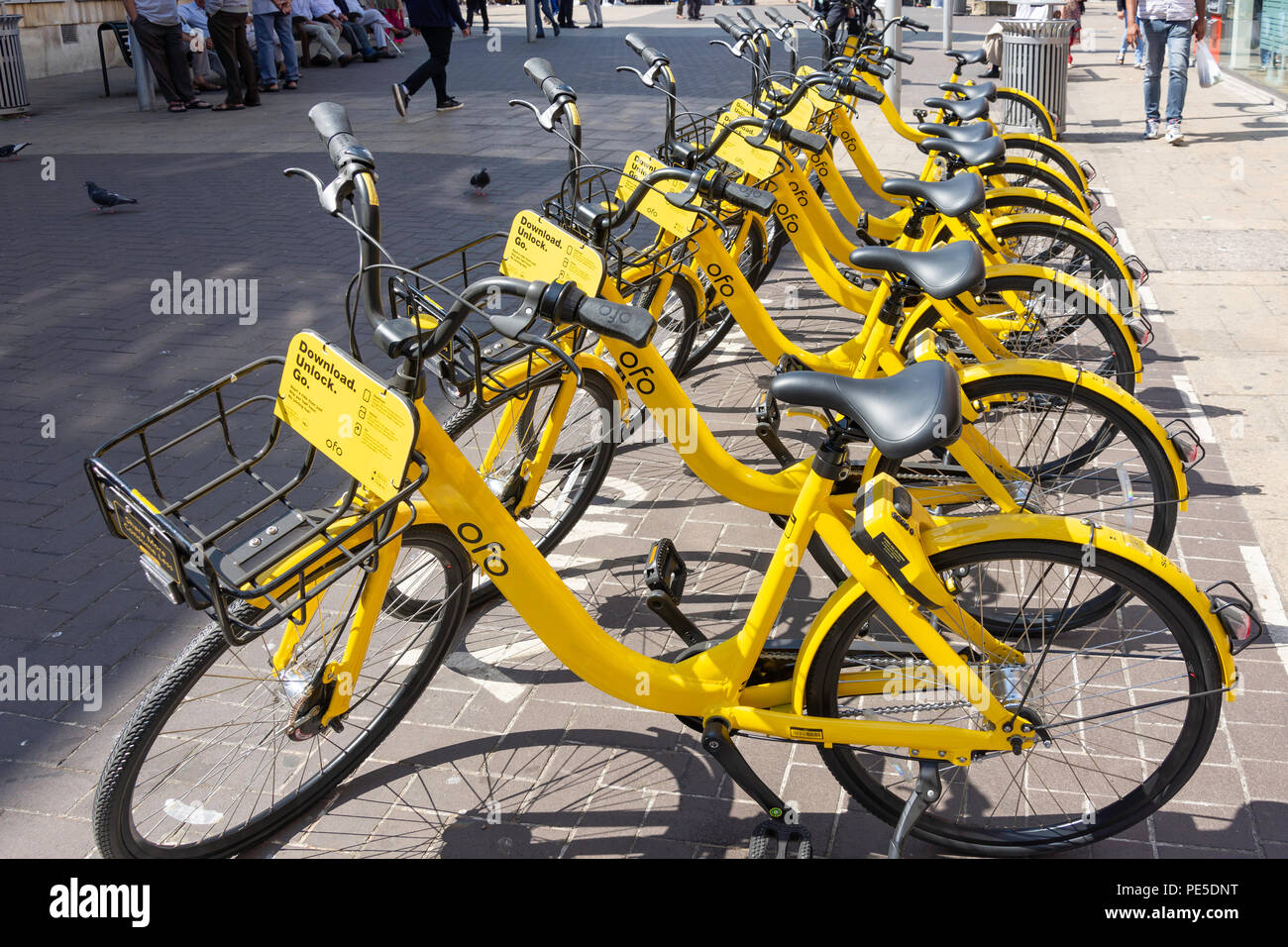 ofo dockless bikes