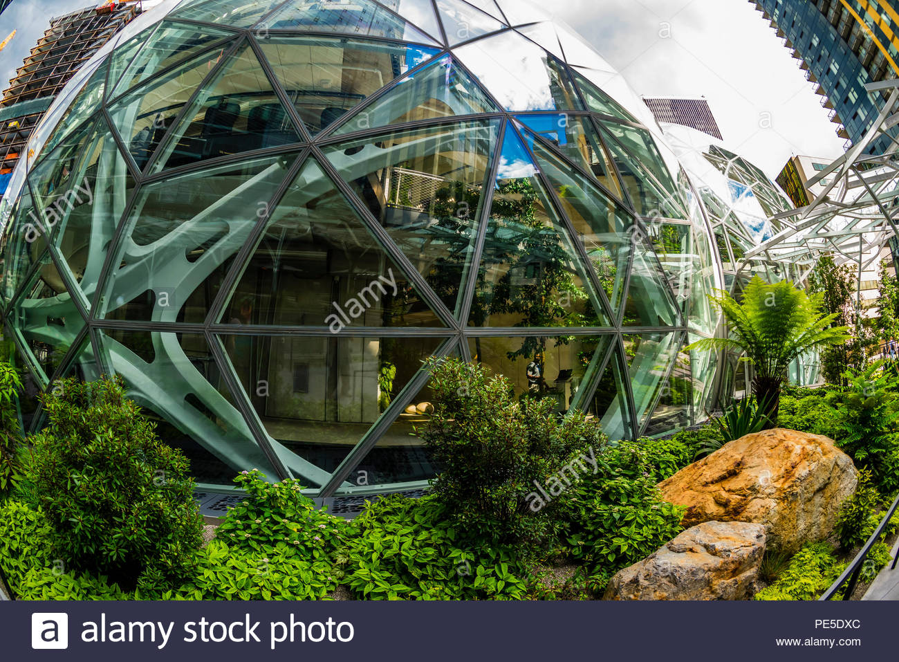 Amazon Spheres A K A Seattle Spheres Is An Urban Botanical