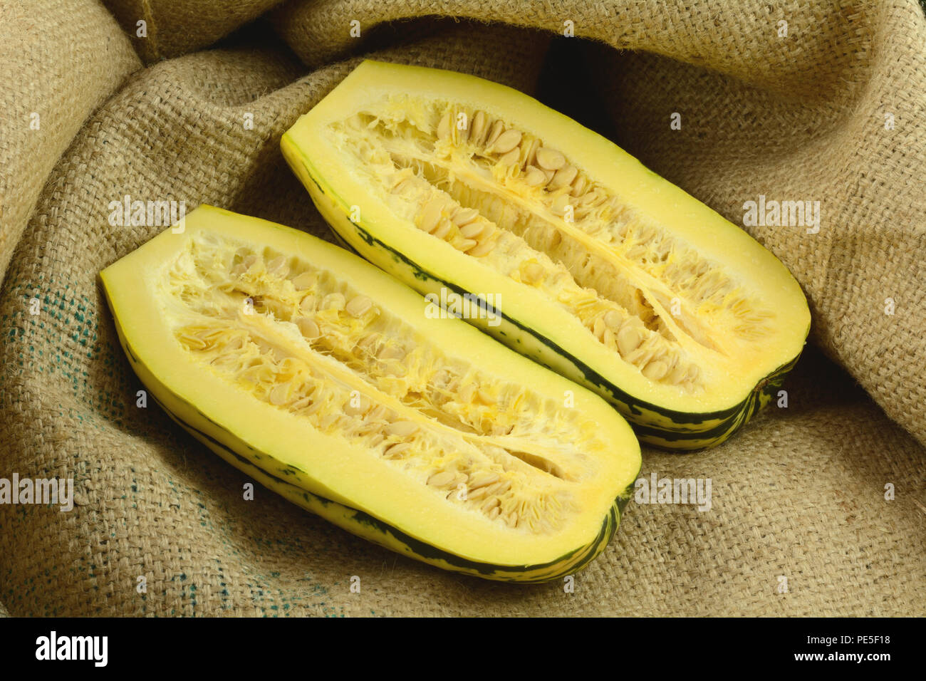 Raw delicata or sweet potato squash cut in halves with seeds on burlap Stock Photo