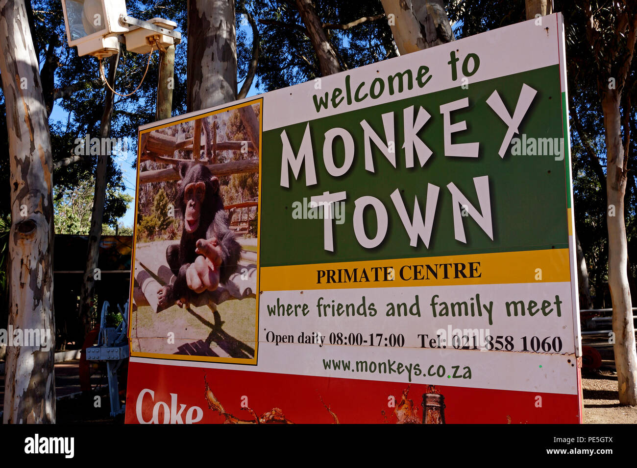 Monkey Town Primate Centre , Somerset West, Western Cape Province