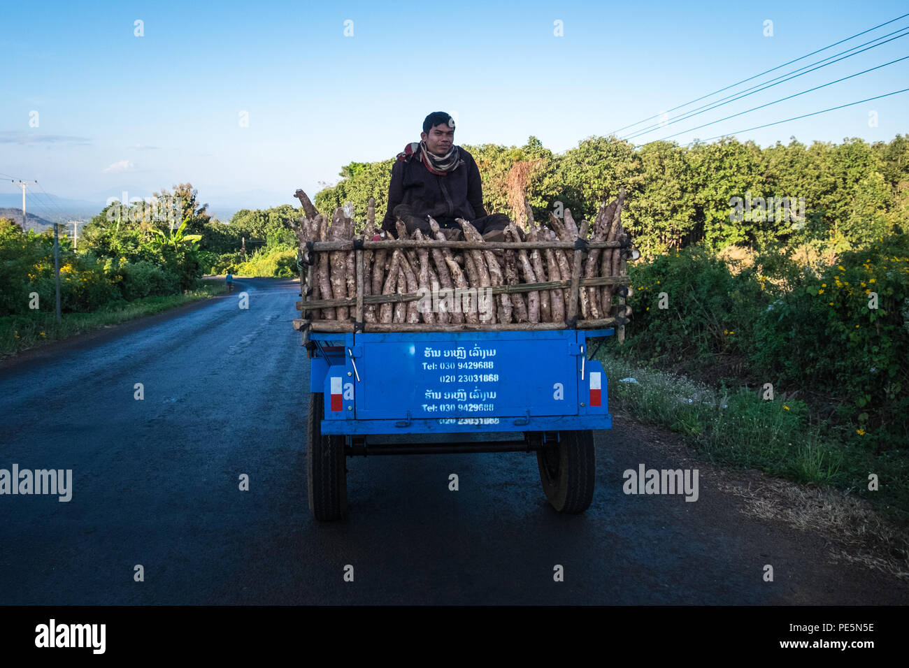 A farmer with a crop of Cassava root on his truck in the Bolaven Plateau, Laos Stock Photo