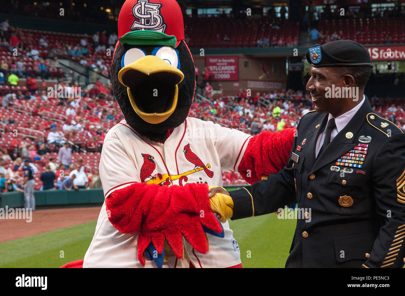 Fredbird St. Louis Cardinals Mascot, Fredbird strikes a pos…