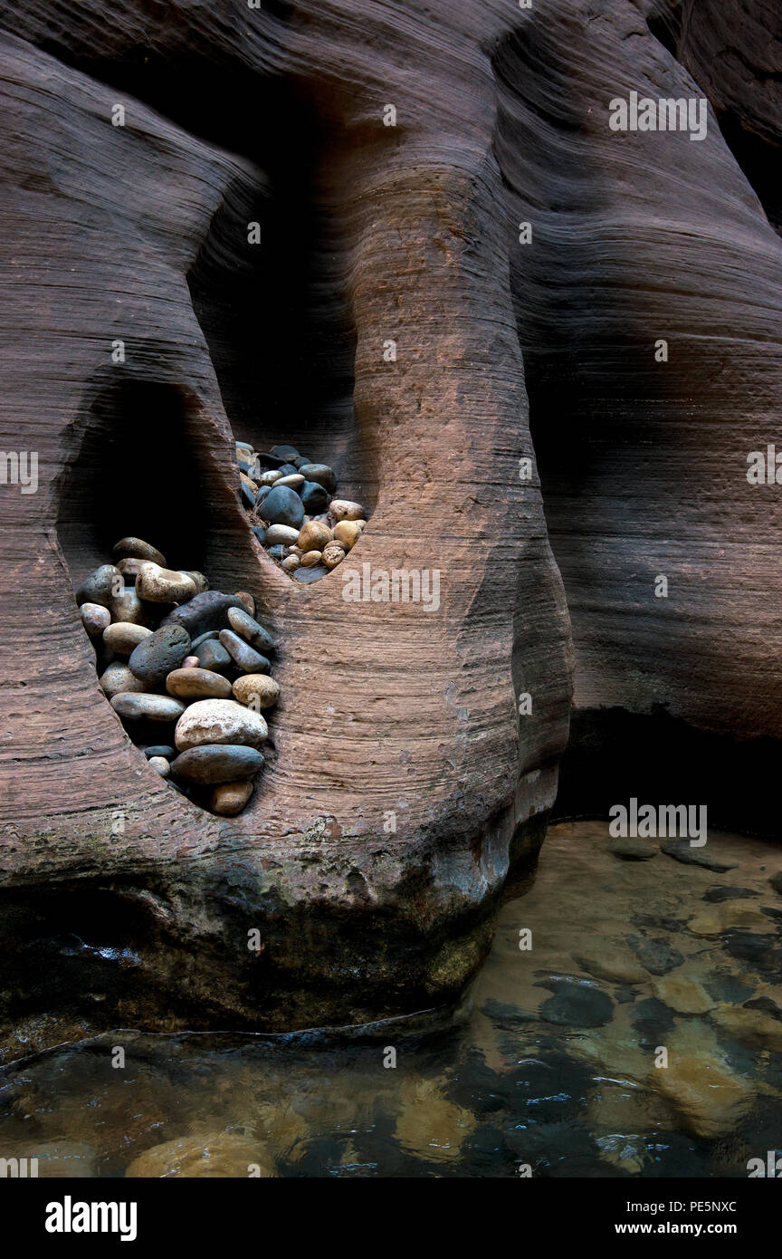 Rocks caught in holes along the Virgin river along the Narrows trail, Zion National Park, Utah, the United States Stock Photo