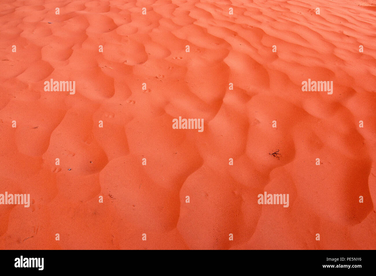 Orange sand dune detail, Arches National Park, Utah, the United States Stock Photo