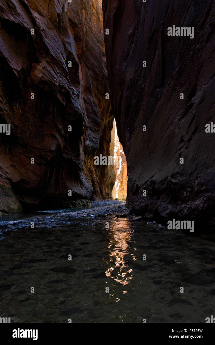 Hiking the Narrows in Zion National Park, Utah, the United States Stock Photo