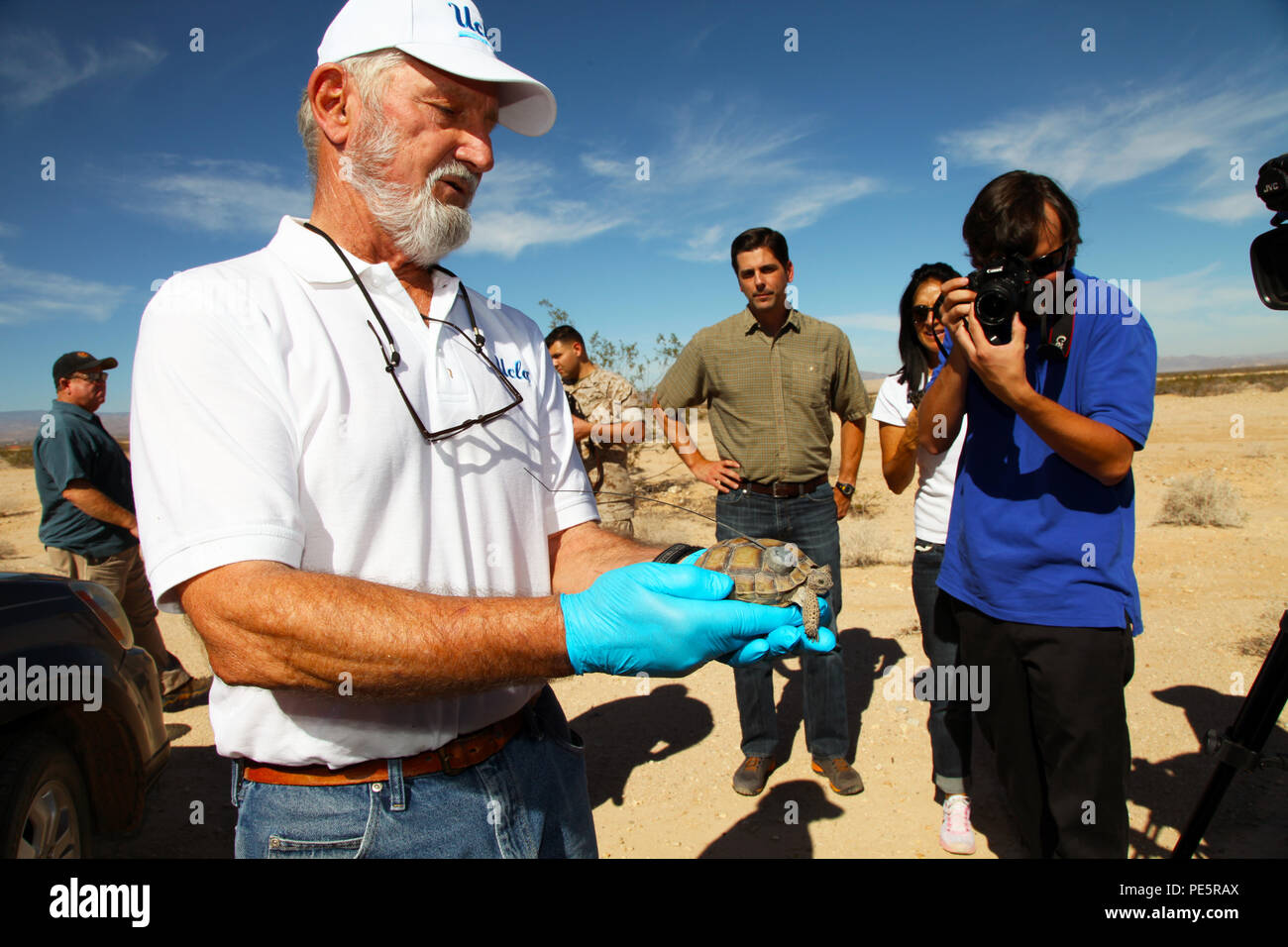 https://c8.alamy.com/comp/PE5RAX/dr-ken-nagy-university-of-california-los-angeles-research-professor-holds-no-2-4-the-tortoise-of-the-hour-sept-30-2015-the-9-year-old-female-is-one-of-the-first-35-desert-tortoises-raised-at-the-combat-centers-tortoise-research-and-captive-rearing-site-to-be-released-into-the-wild-this-year-official-usmc-photo-by-kelly-osullivanreleased-PE5RAX.jpg