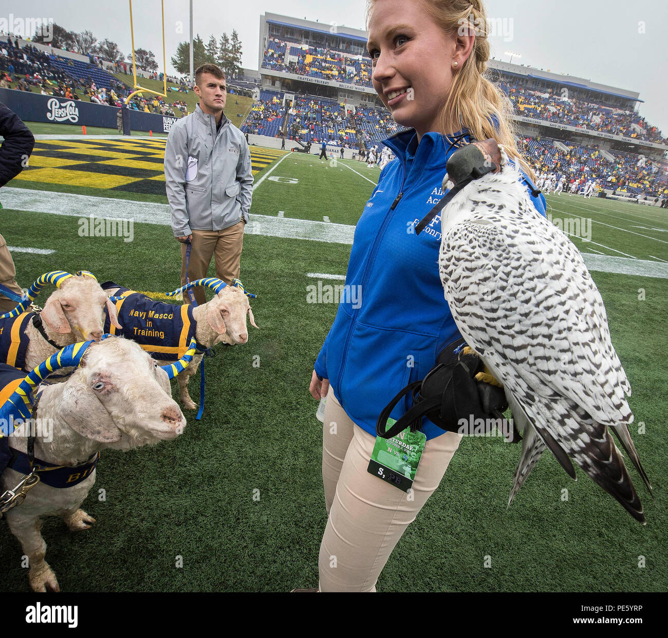 what is the air force academy mascot