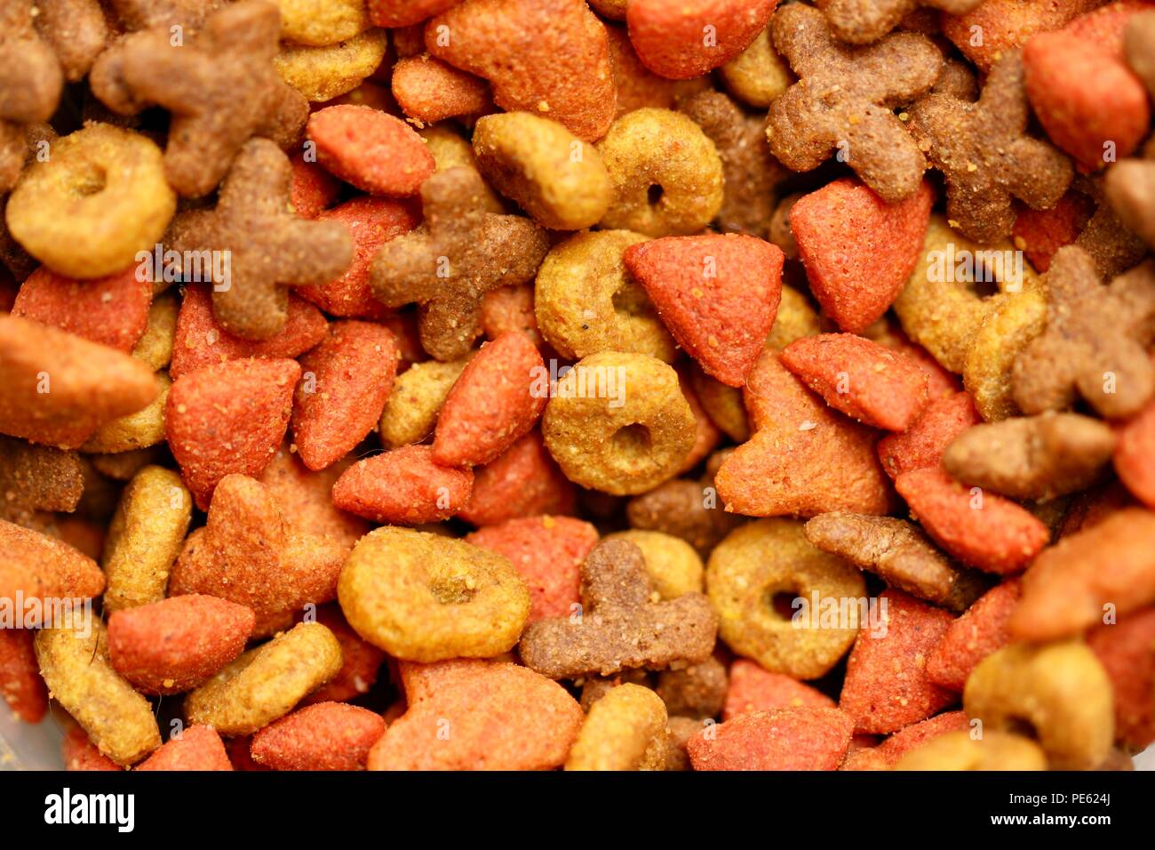 Colorful, tasty, and healty food for your pet Stock Photo