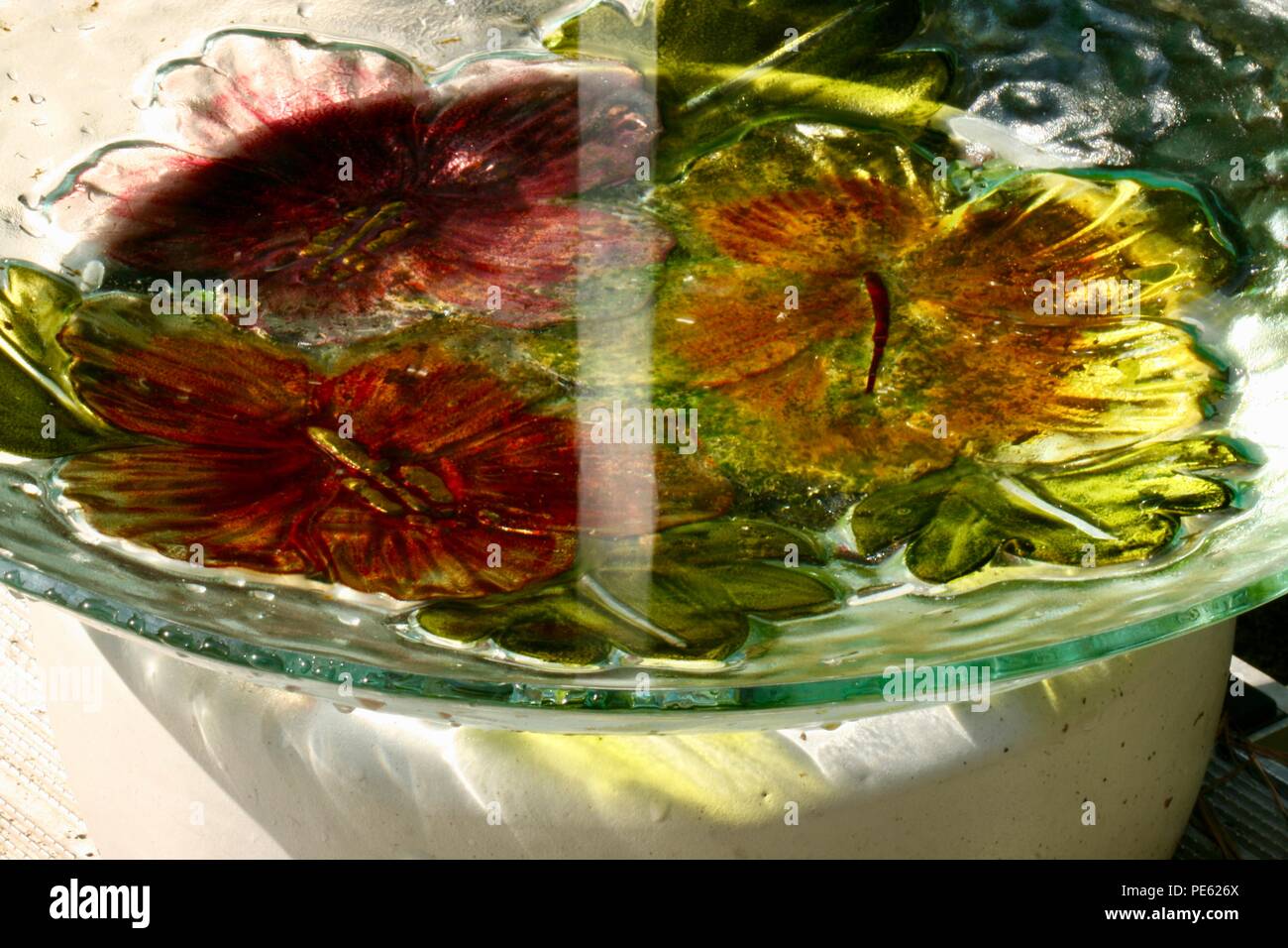Colorful glass birdbath with water and algae showing reflections from