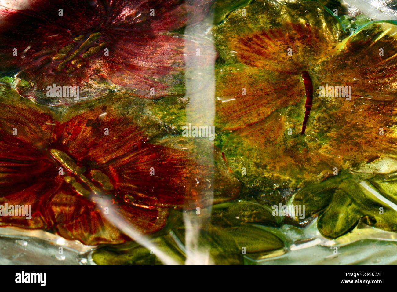 Colorful glass birdbath with water and algae showing reflections from