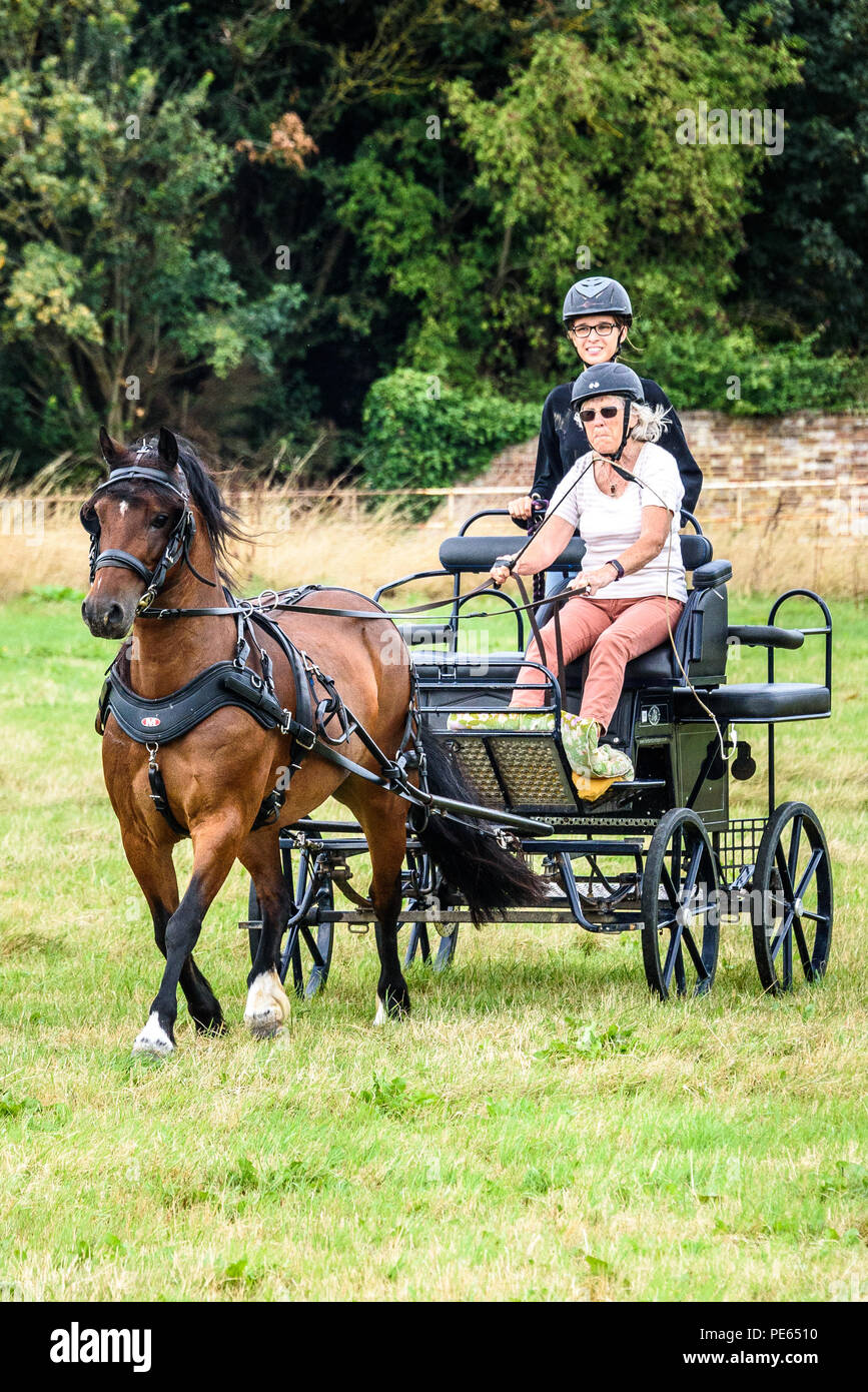 Hellingly, East Sussex, UK. 12th Aug 2018. Warming up at The Oaks Driving Club show, Hellingly, East Sussex. photo ©Julia Claxton Credit: Julia Claxton/Alamy Live News Stock Photo