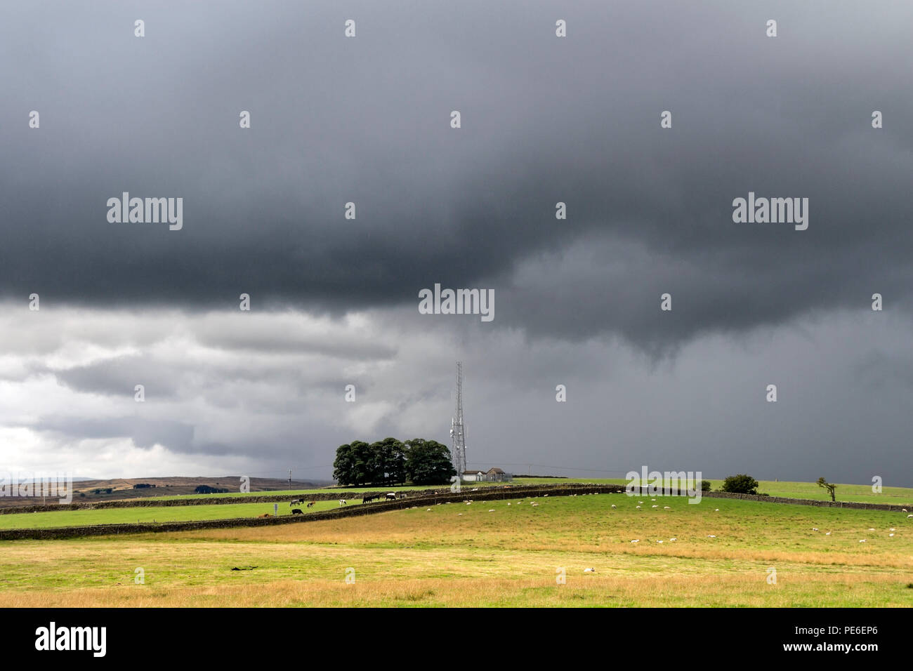 Teesdale, County Durham, UK.  Monday 13th August 2018.  UK Weather.  Stormy skies over Teesdale in County Durham as slow moving torrential rain showers affect Northern England this afternoon. Credit: David Forster/Alamy Live News Stock Photo