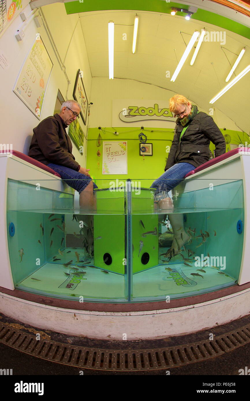 Couple dipping their feet in a tank of water filled with small fish Garra rufa also called doctor fish. Stock Photo