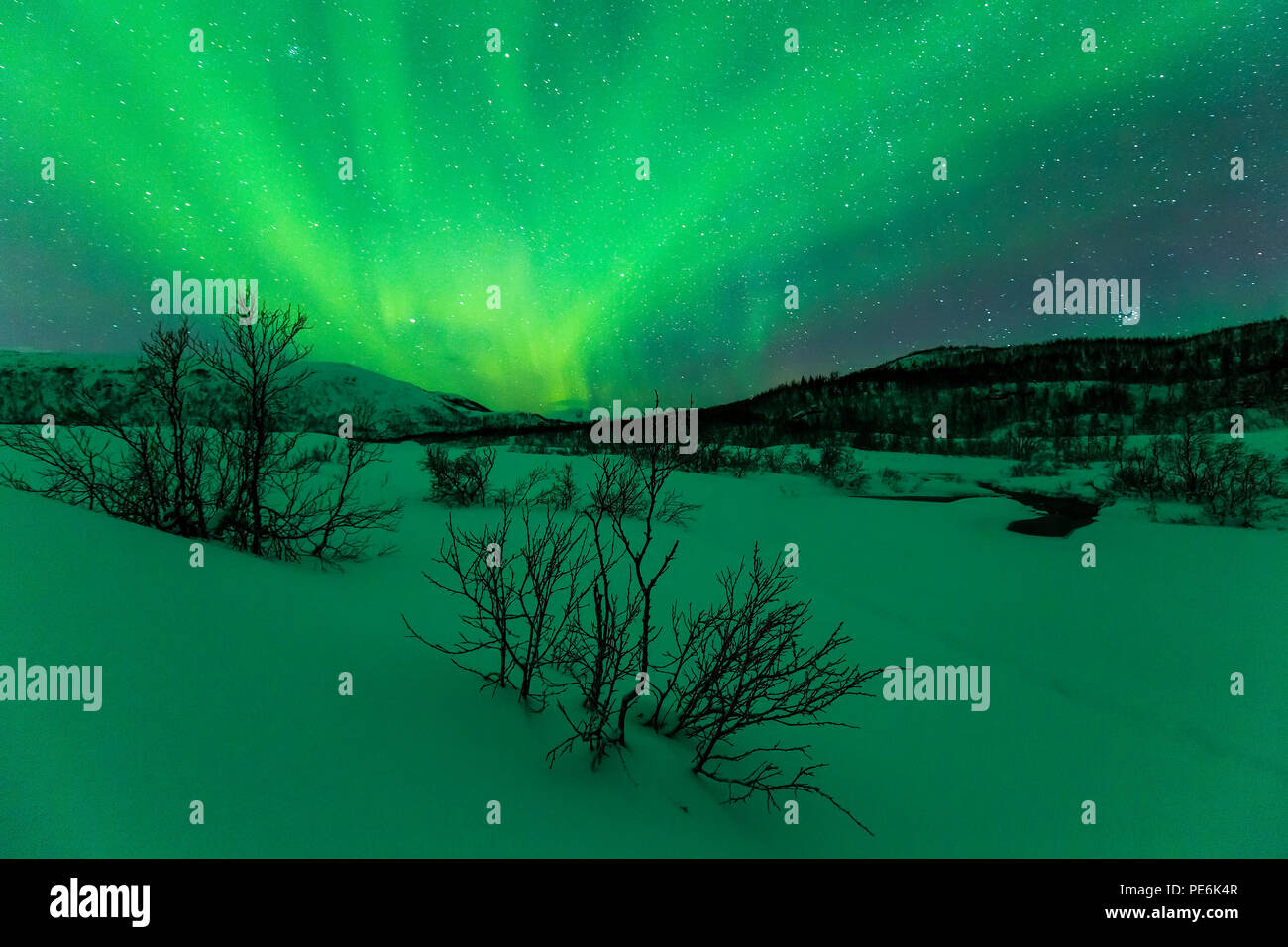 Northern lights Aurora Borealis in the night. A arctic, snowy winter ...