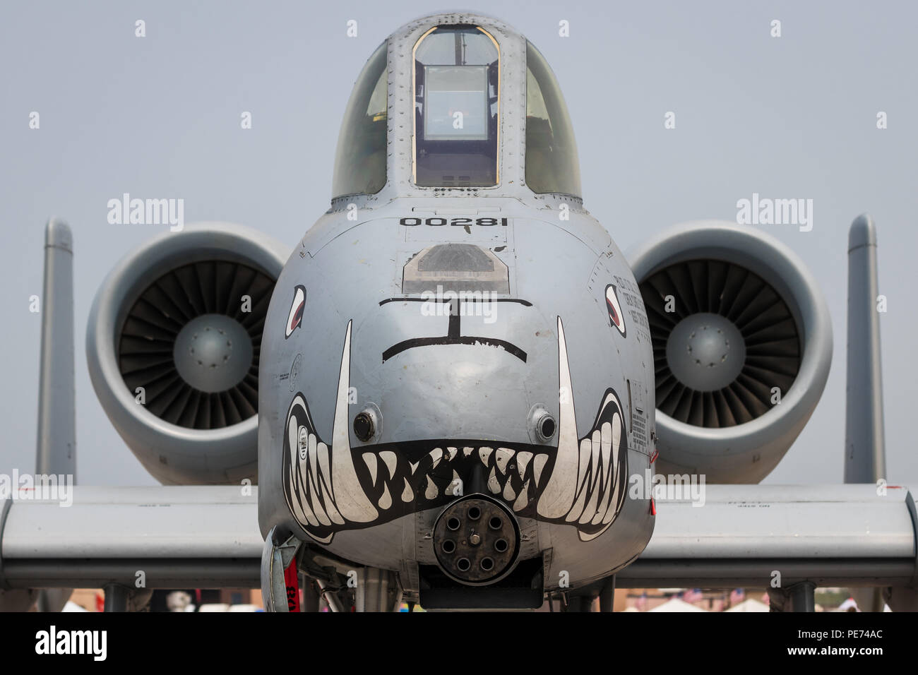 US AIR FORCE A-10 WARTHOG COCKPIT ENGINE GATLING GUN Stock Photo