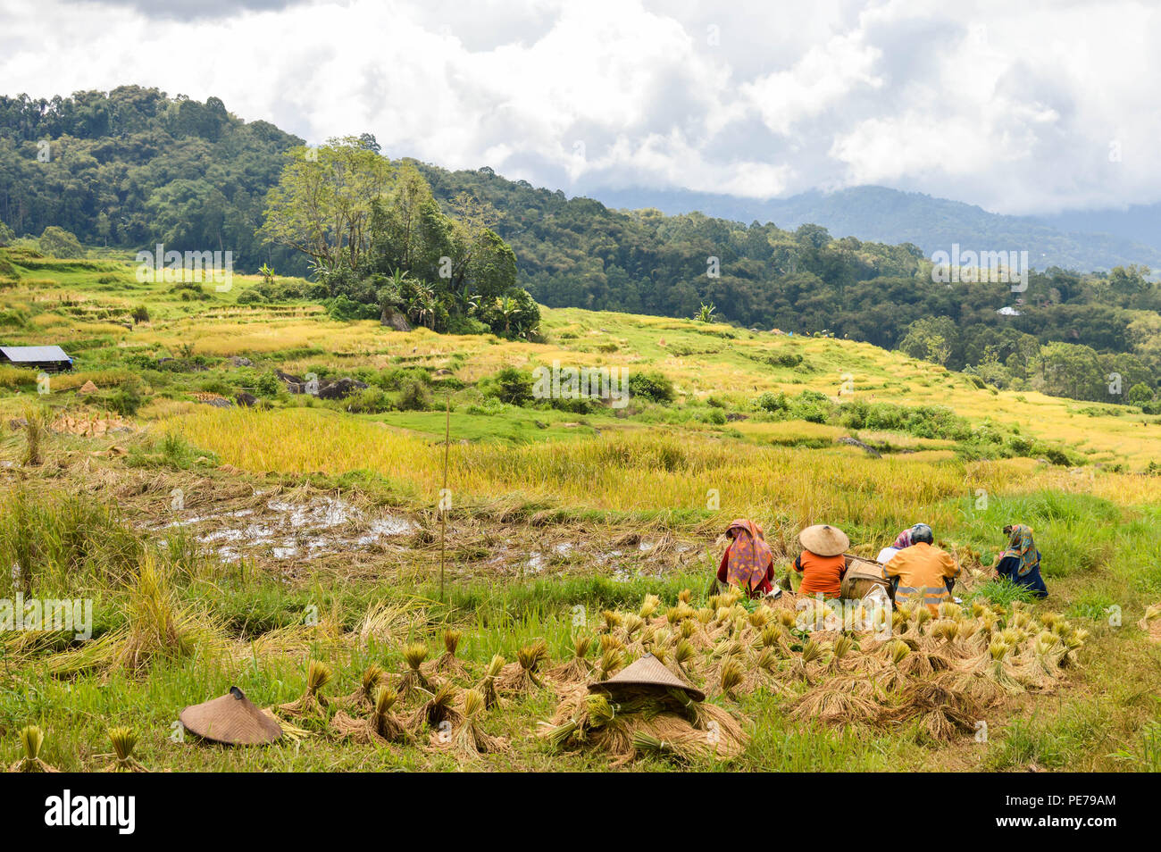 Paniramic landscape of the rice fields and farmers having their lunch break in Tana Toraja highlands near Batutumongi. South Sulawesi, Indonesia Stock Photo