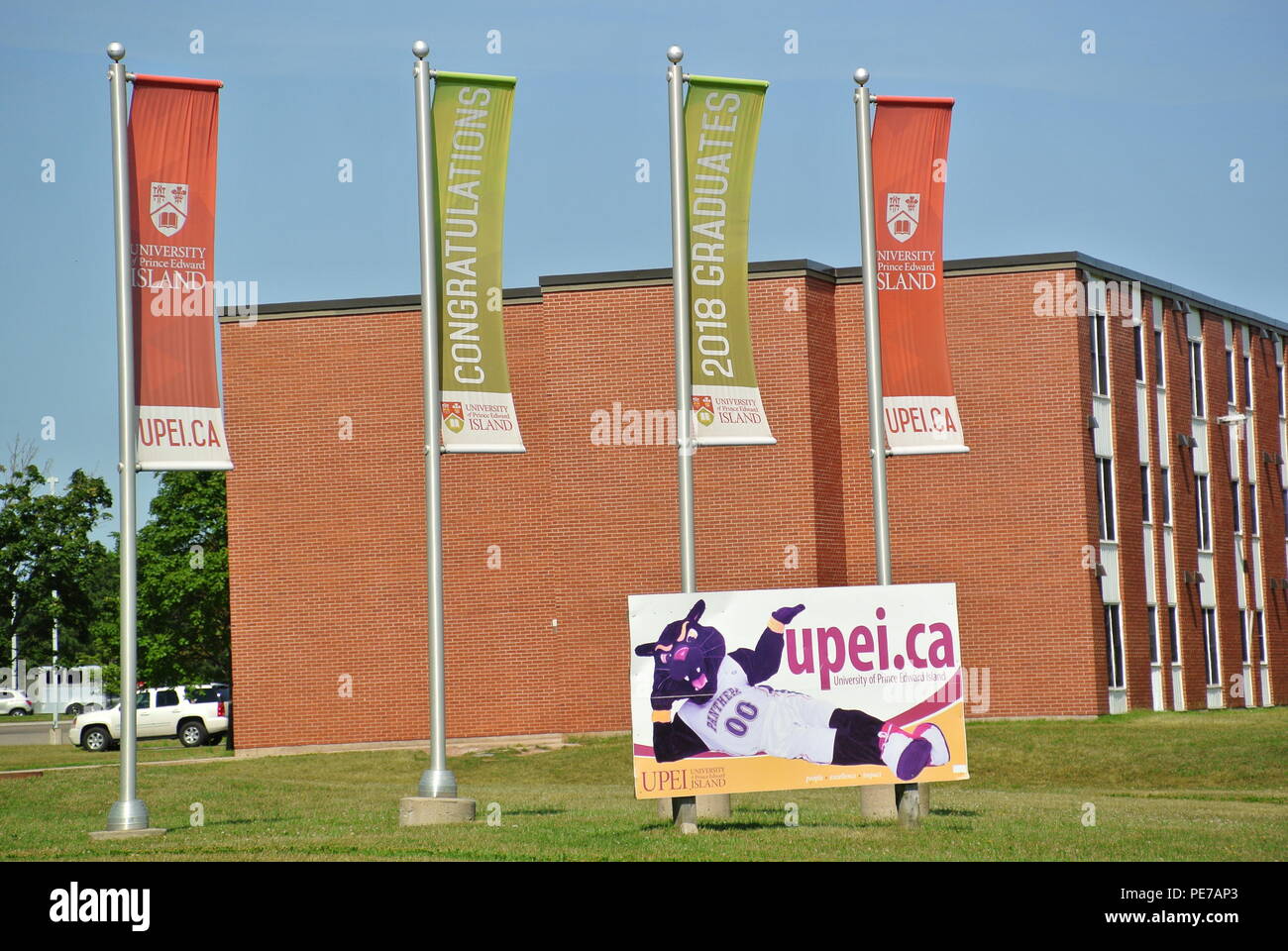 University of Prince Edward Island buildings,flags, mascot and a tree