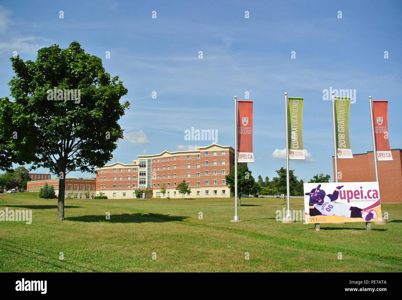University Of Prince Edward Island Buildings Flags Mascot And A Tree On Prince Edward Island Canada Stock Photo Alamy