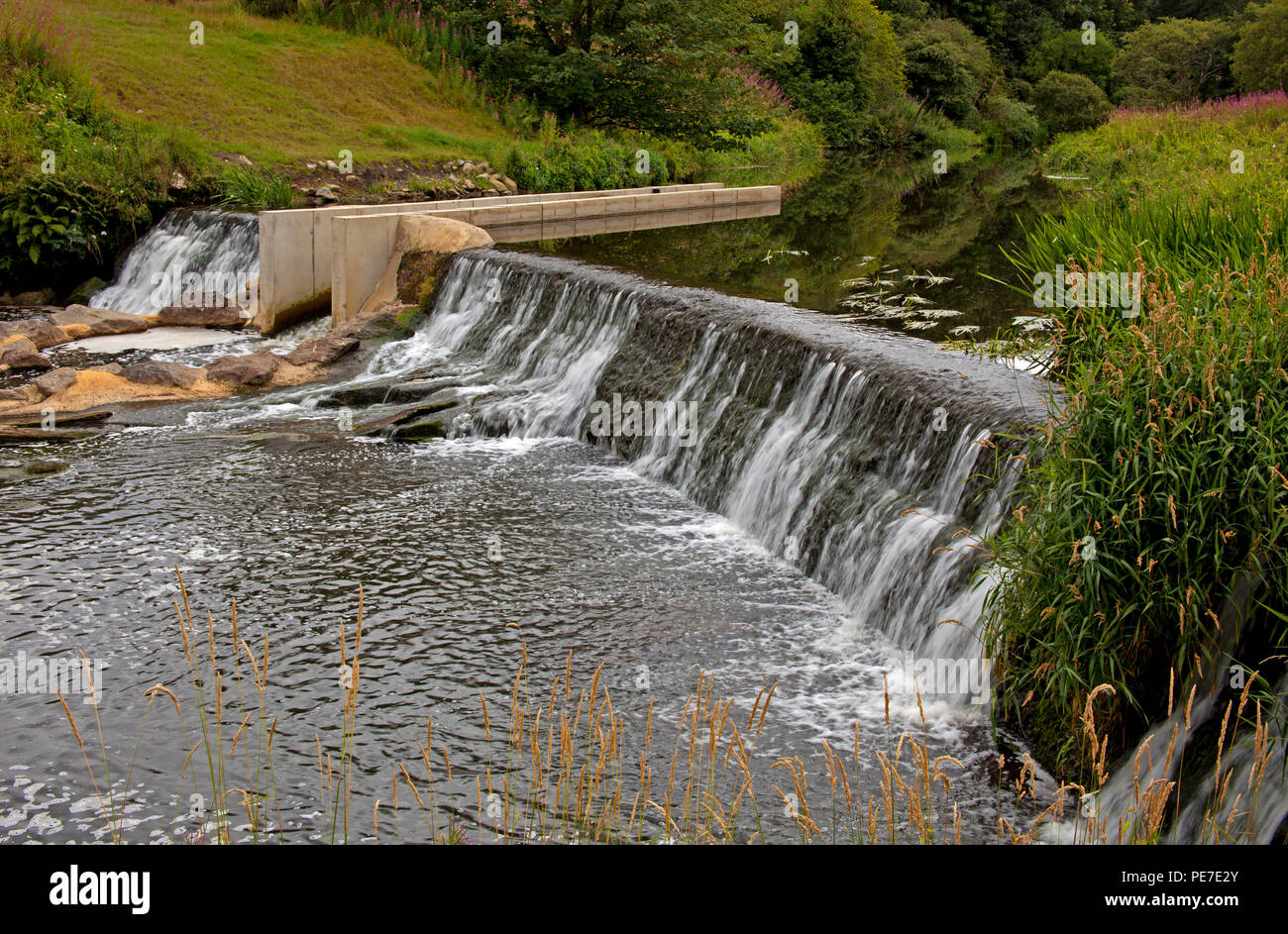 Kirkton Weir, Kirkton,  Calderwood Country Park, Livingston, West Lothian, Scotland, UK Stock Photo