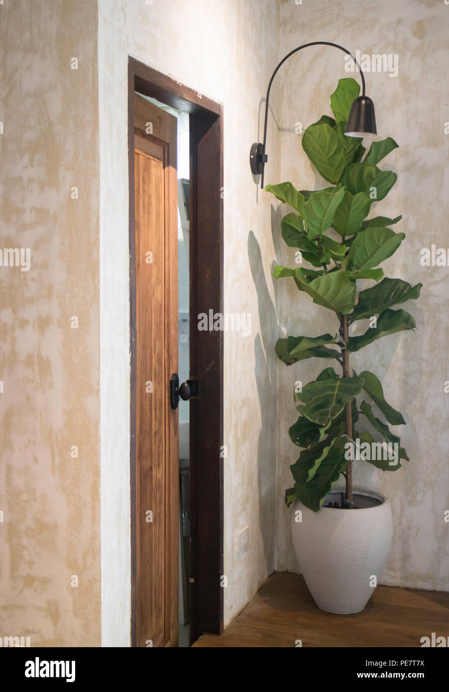 Tall office pot plant hi-res stock photography and images - Alamy