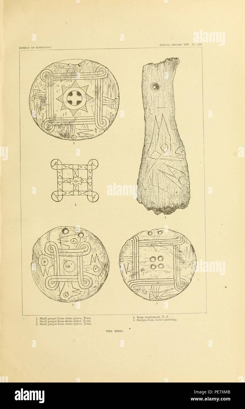 Art in shell of the ancient Americans Stock Photo - Alamy