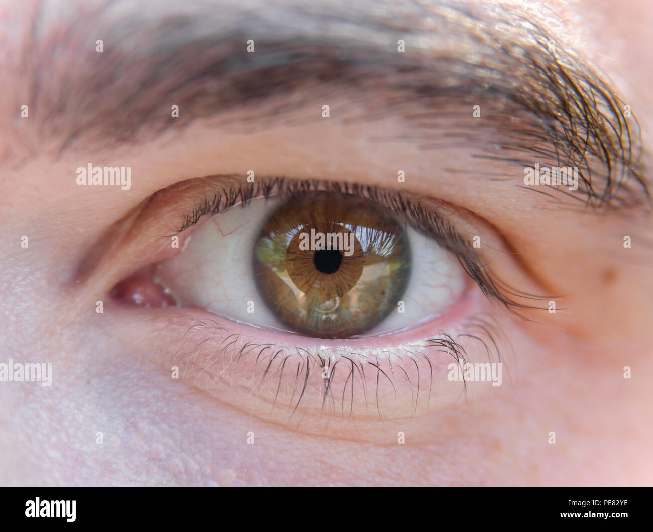 Close up picture of brown eyes from young man Stock Photo - Alamy