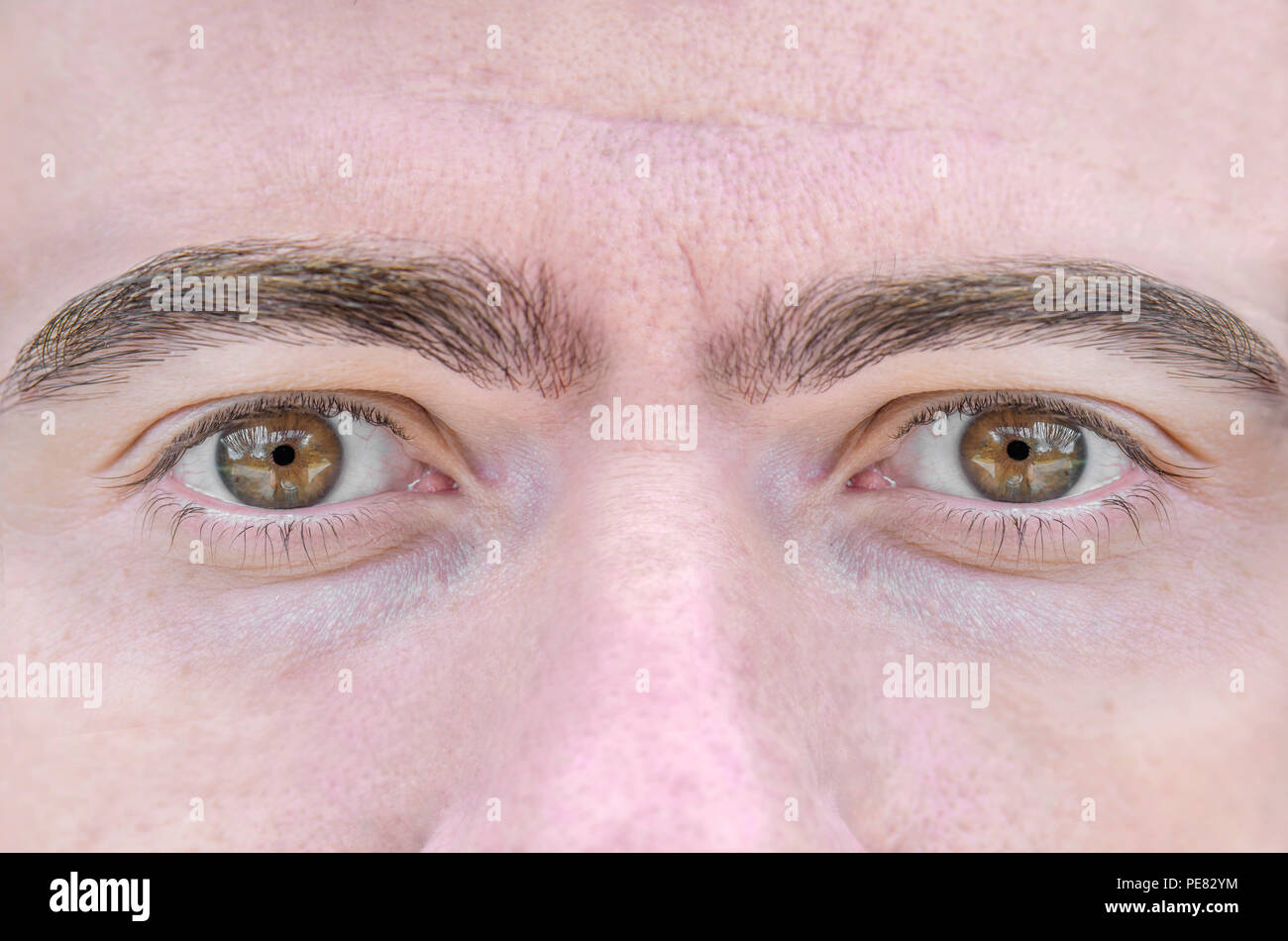 Close up picture of faceand brown eyes from a young man Stock Photo - Alamy