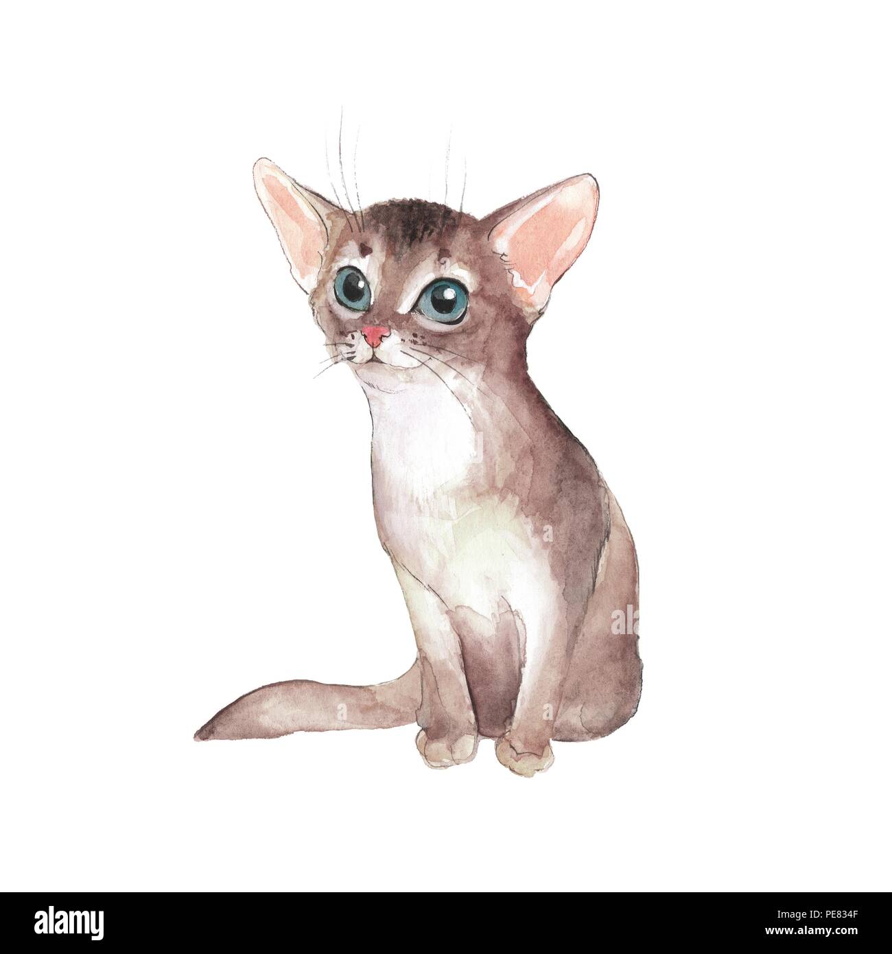 Cute kitten, isolated on white. Cat. Watercolor illustration Stock Photo