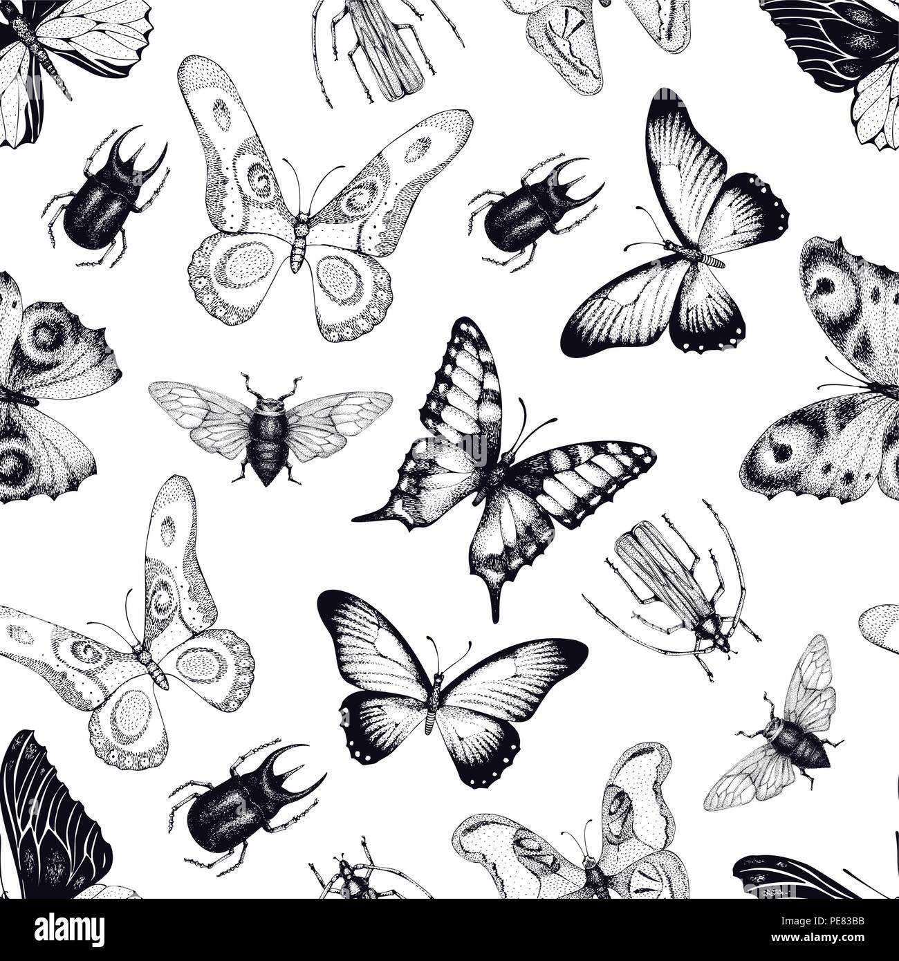 Monkey Pattern On Insect Vector seamless pattern with insects and butterflies. Entomological ...
