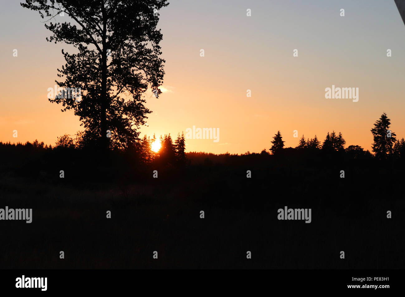 Sunset in Yelm, Washington Stock Photo