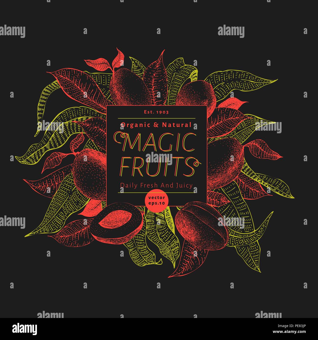 Mango Fruit Banner Template Hand Drawn Vector Fruit Illustration