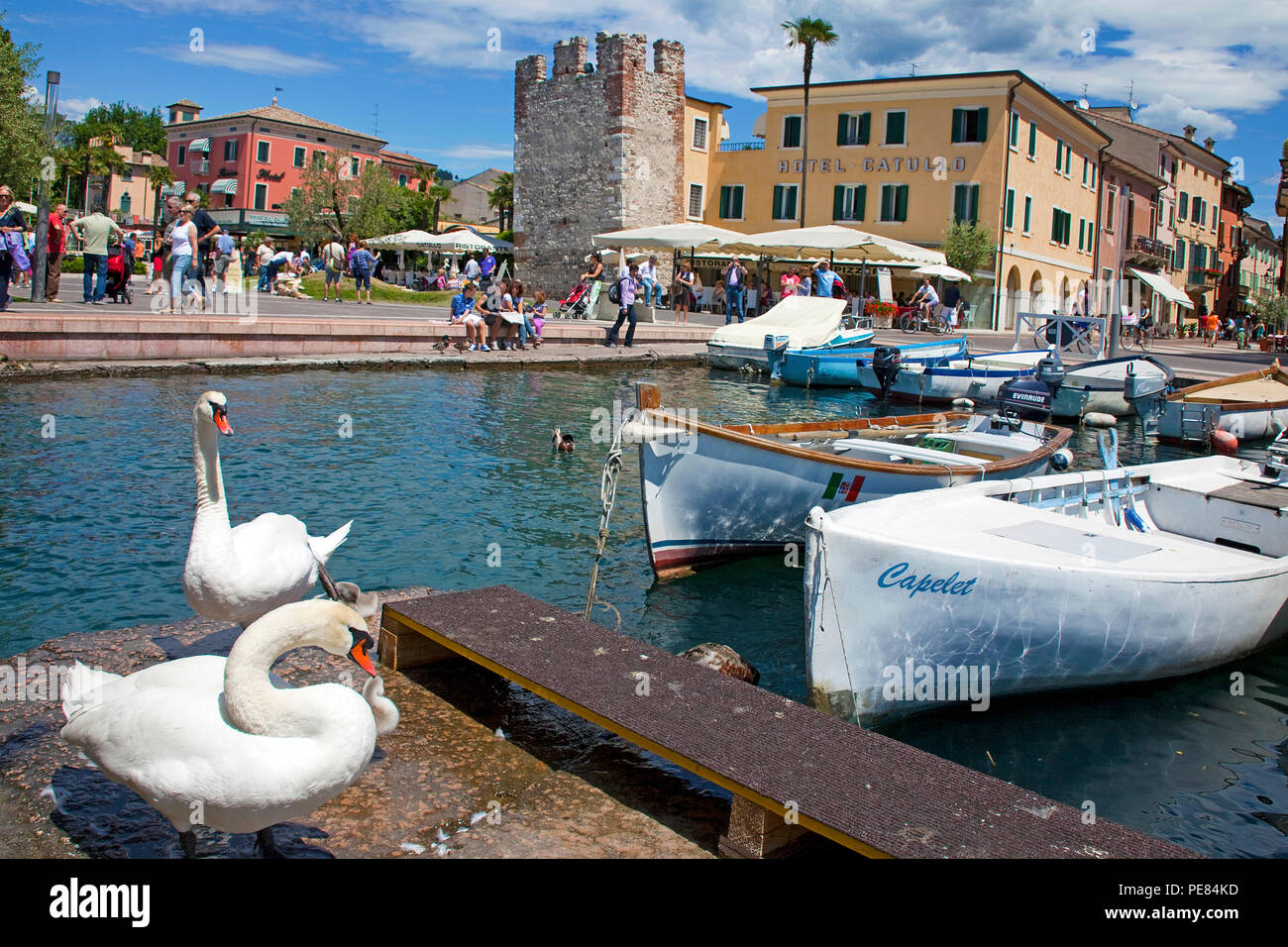 Fishing boats at the harbour, lake promenade, Bardolino, province Verona, Lake Garda, Lombardy, Italy Stock Photo