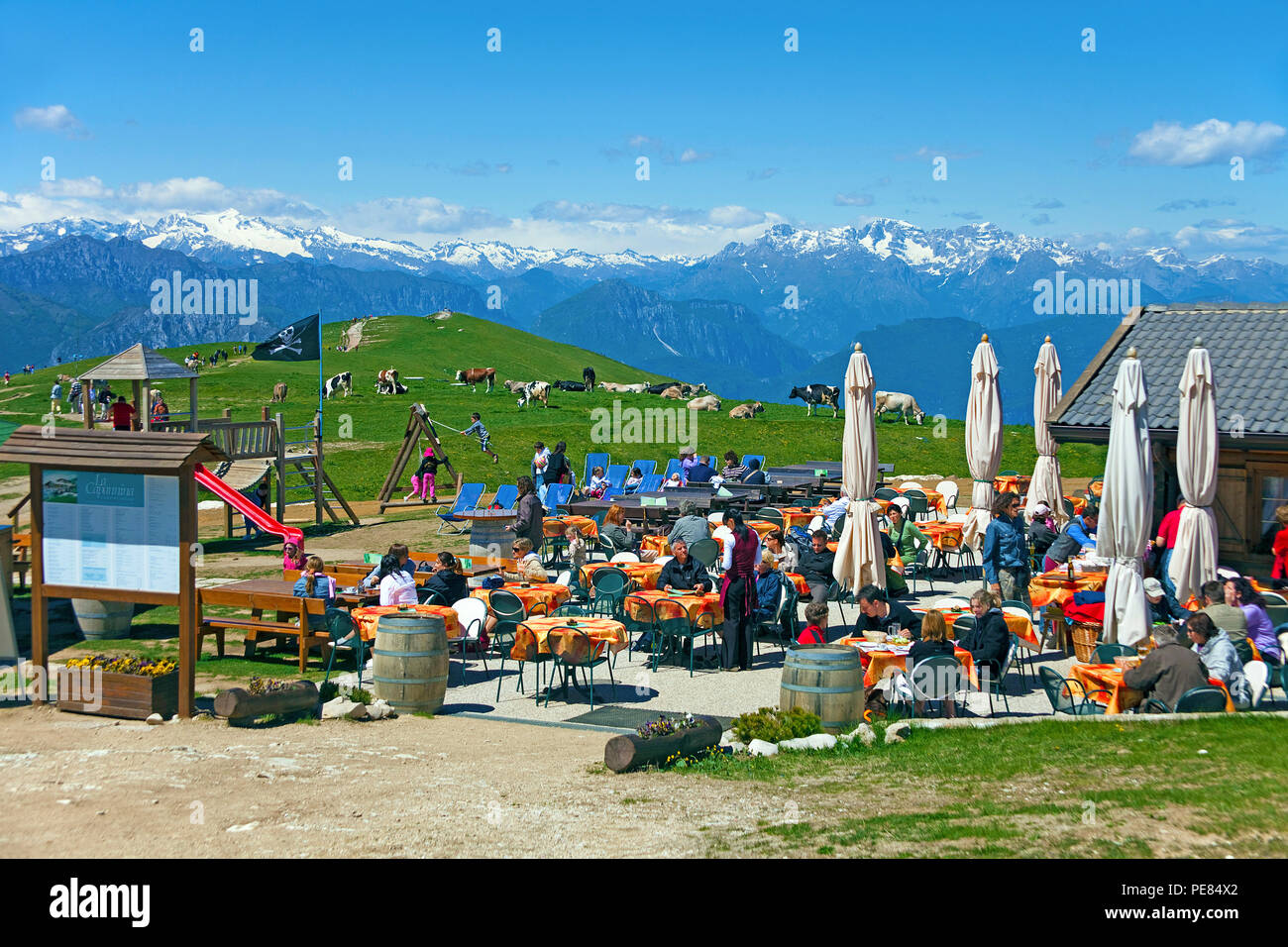 Tourists at a alpine pasture on Monte Baldo, Malcesine, Lake Garda, province Verona, Lombardy, Italy Stock Photo