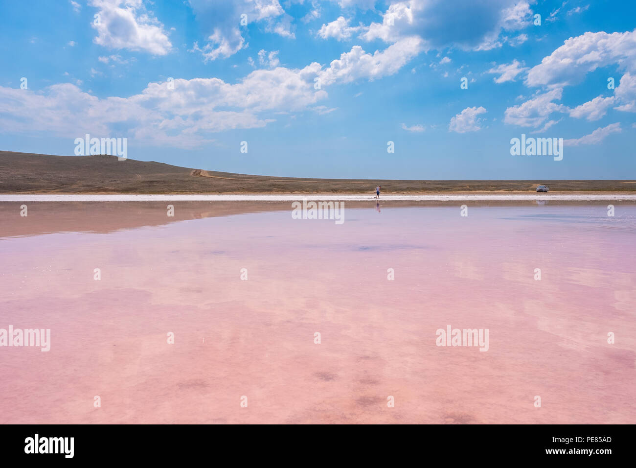 Pink salt Lake Koyashskoe, Crimea. Stock Photo