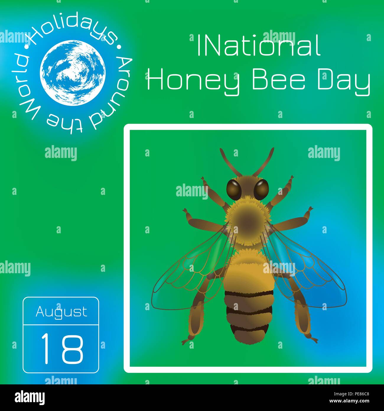 National Honey Bee Day in USA. Concept ecological event. 18 August. Realistic bee drawing