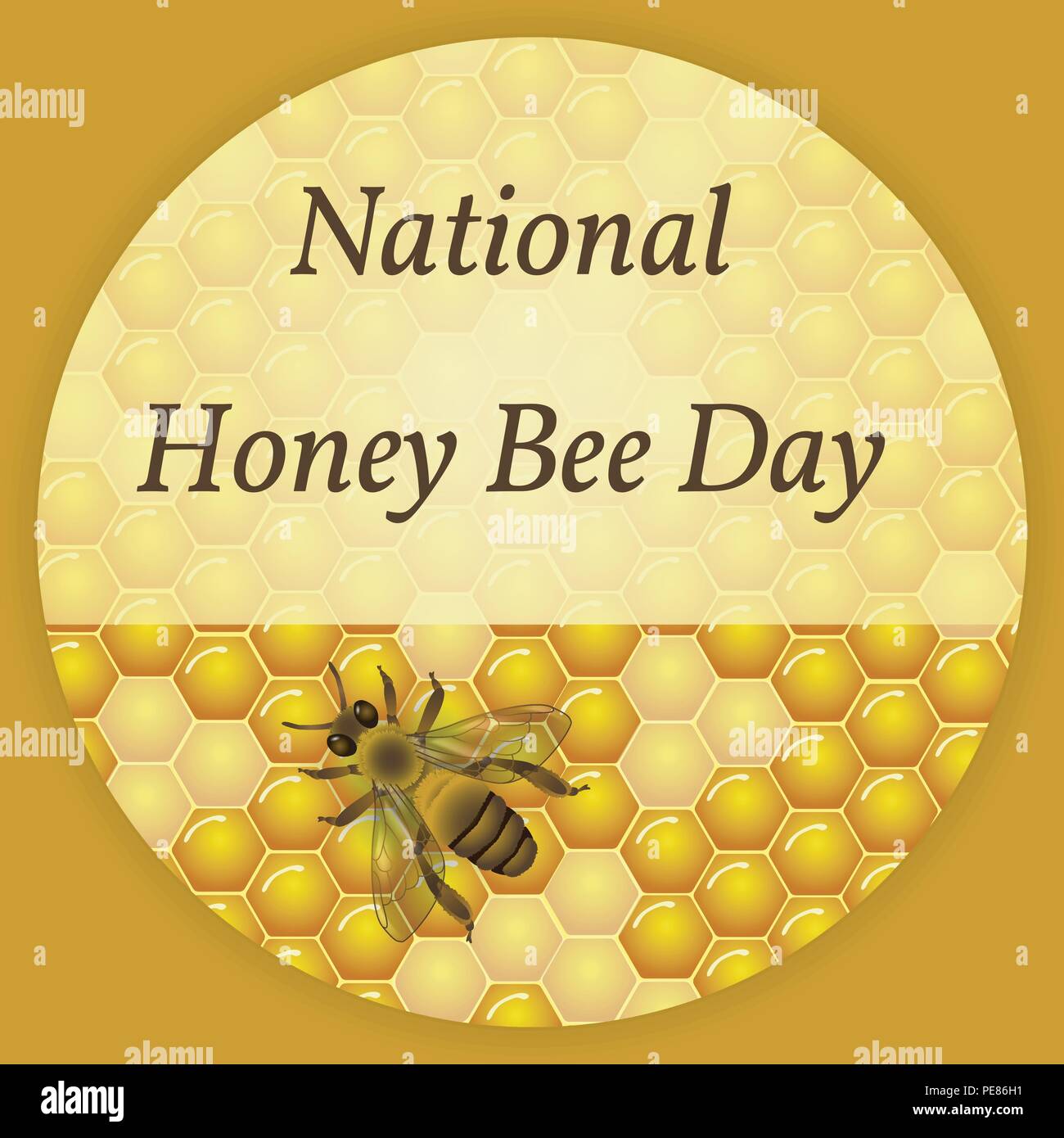 National Honey Bee Day in USA. Concept ecological event. 18 August