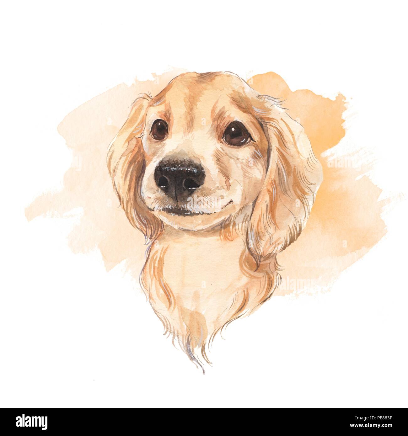 Cute dog sketch. Hand painted. Watercolor illustration Stock Photo Alamy