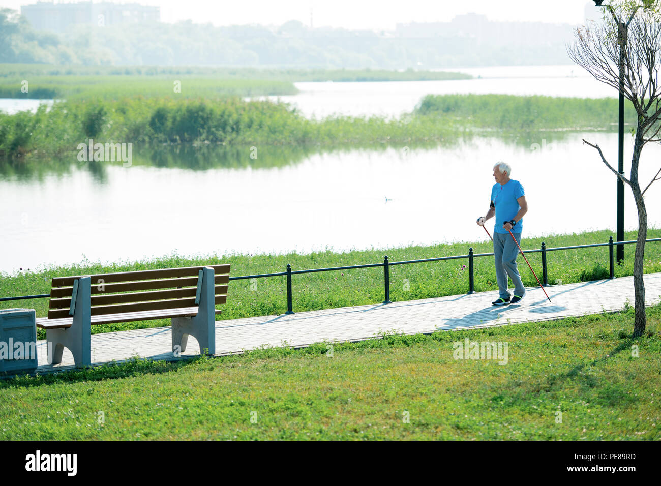 Senior Man Walking with Poles Stock Photo - Alamy