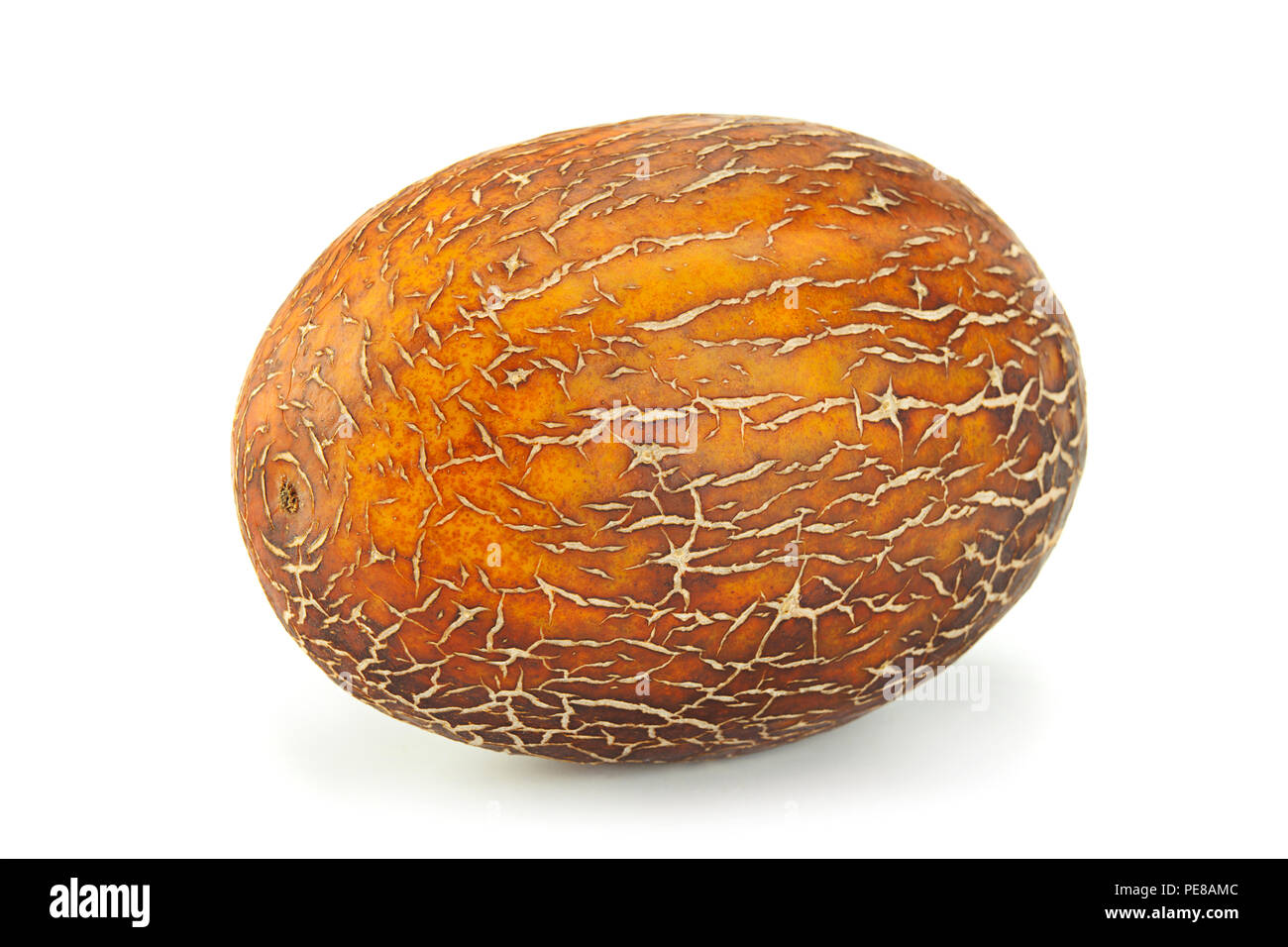 Hybrid Melon and cucumber closeup isolated on white background Stock