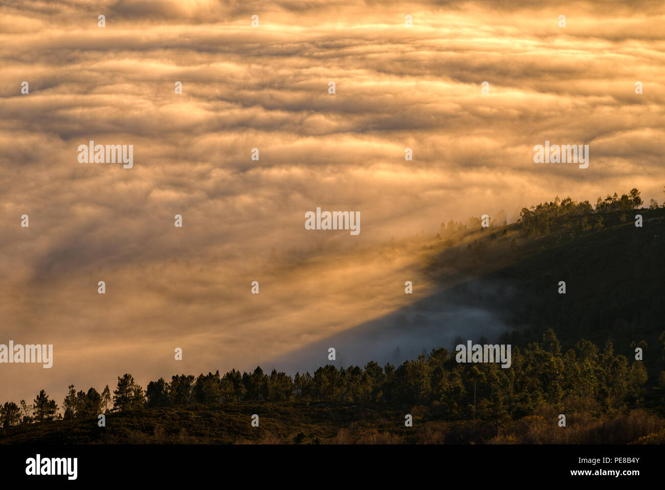 The rays of the setting sun cross the fog, in Muras, Lugo, Galicia Stock Photo