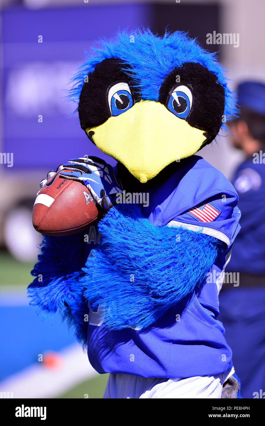 united states air force academy mascot the bird