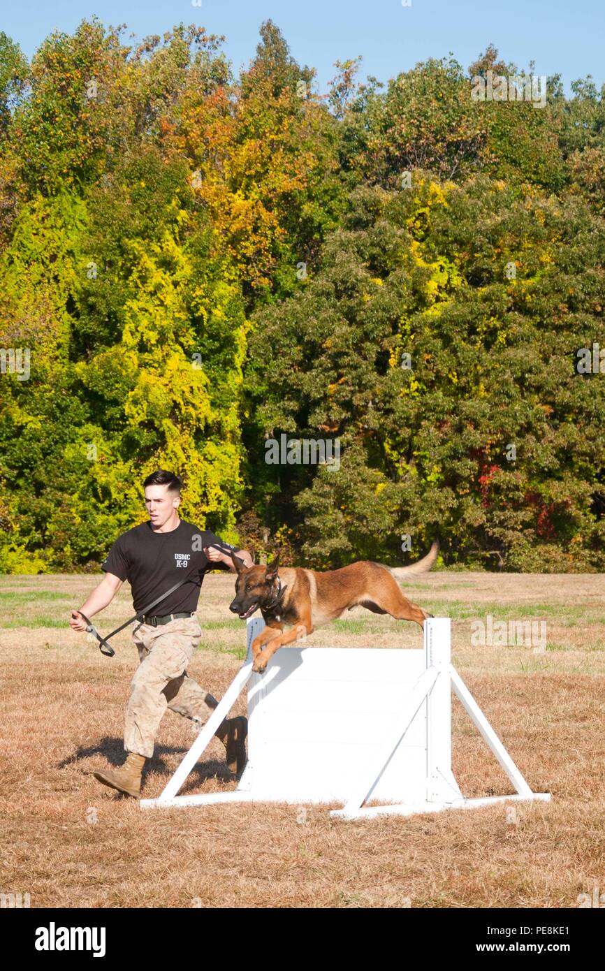 Cpl. Josh Jones, Quantico Canine Unit, and his working dog Qquantico