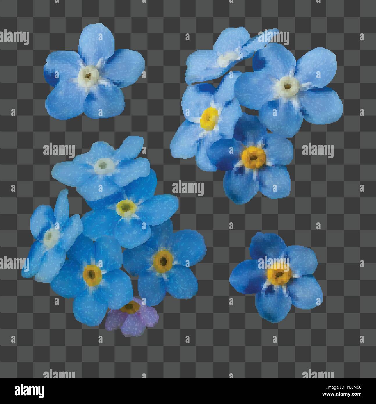 Blue forget me not spring flowers. Decorative elements vector set Stock ...