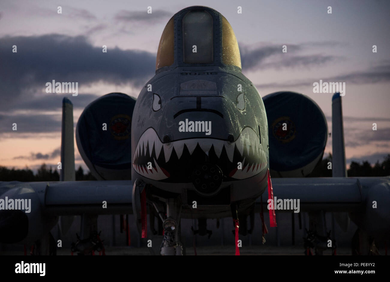 A-10 Thunderbolt II attack aircraft of the 74th Expeditionary Fighter ...