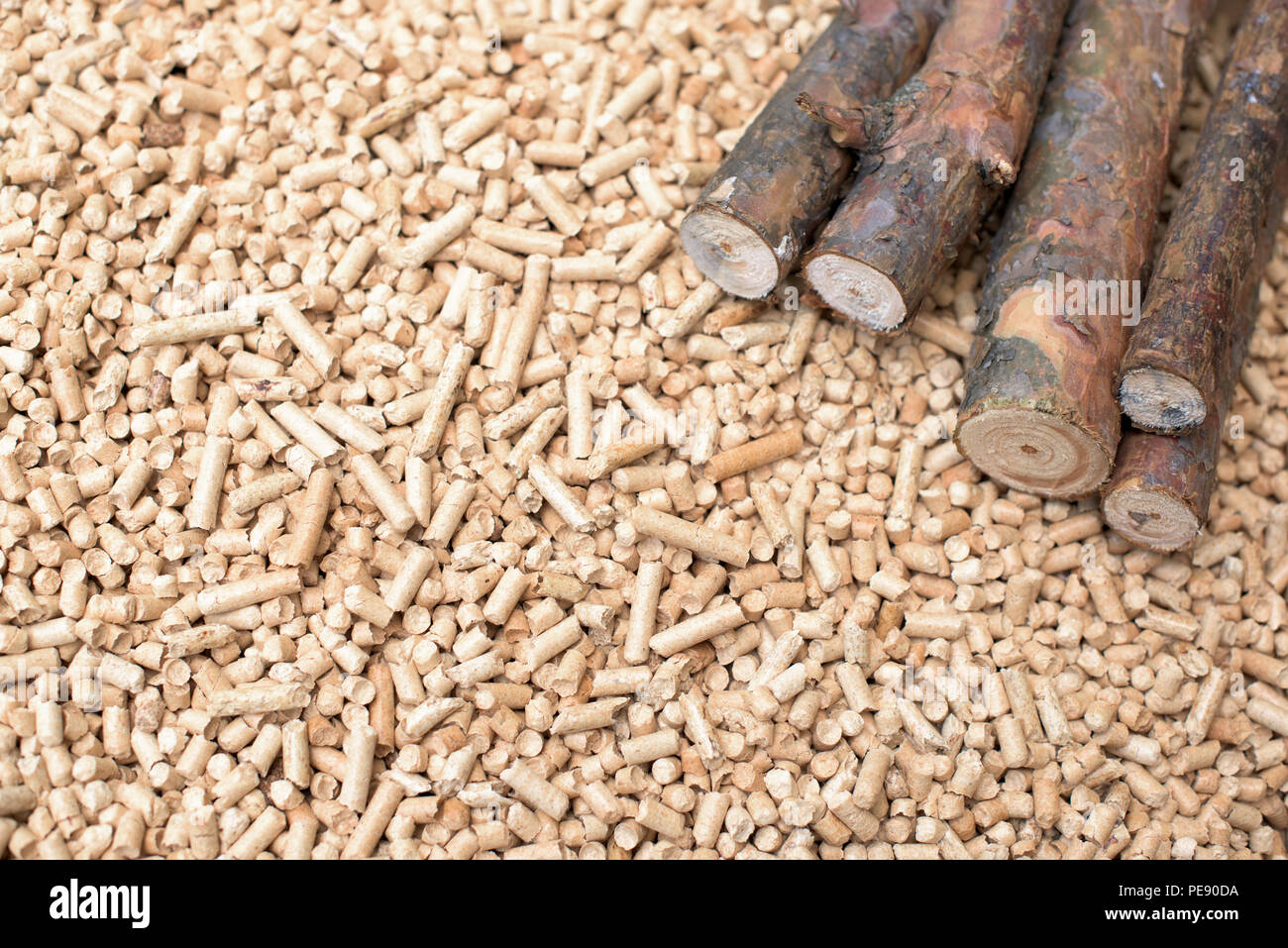 Coniferous biomass wood and pellets, renewable energy Stock Photo Alamy