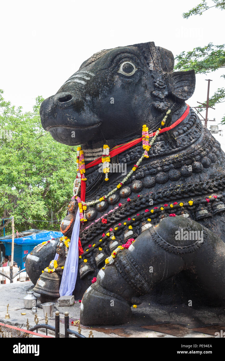 Nandi statue on Chamundi Hill, Mysore, India Stock Photo Alamy