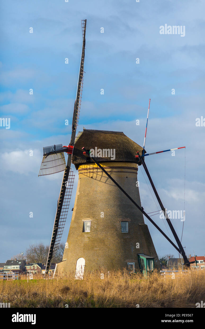Historians Dutch windmills near Rotterdam Stock Photo