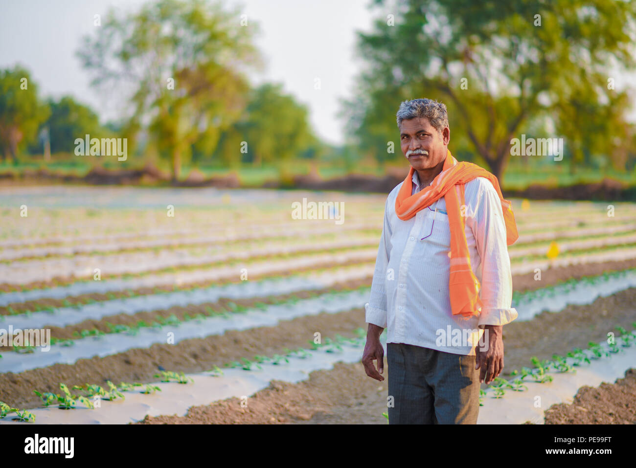 Indian melon farming hi-res stock photography and images - Alamy