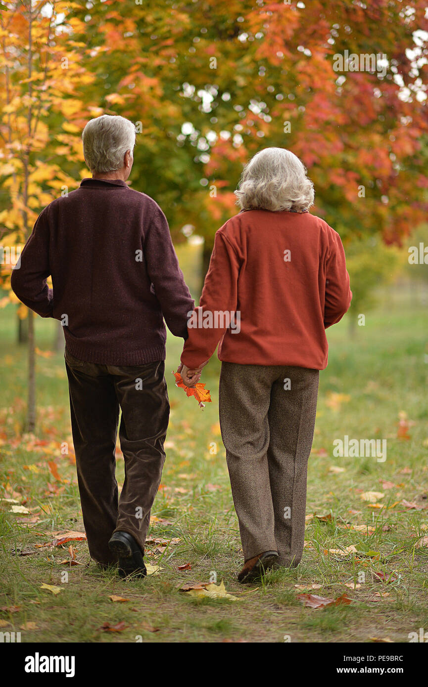 Portrait of rear view of senior couple walking Stock Photo - Alamy
